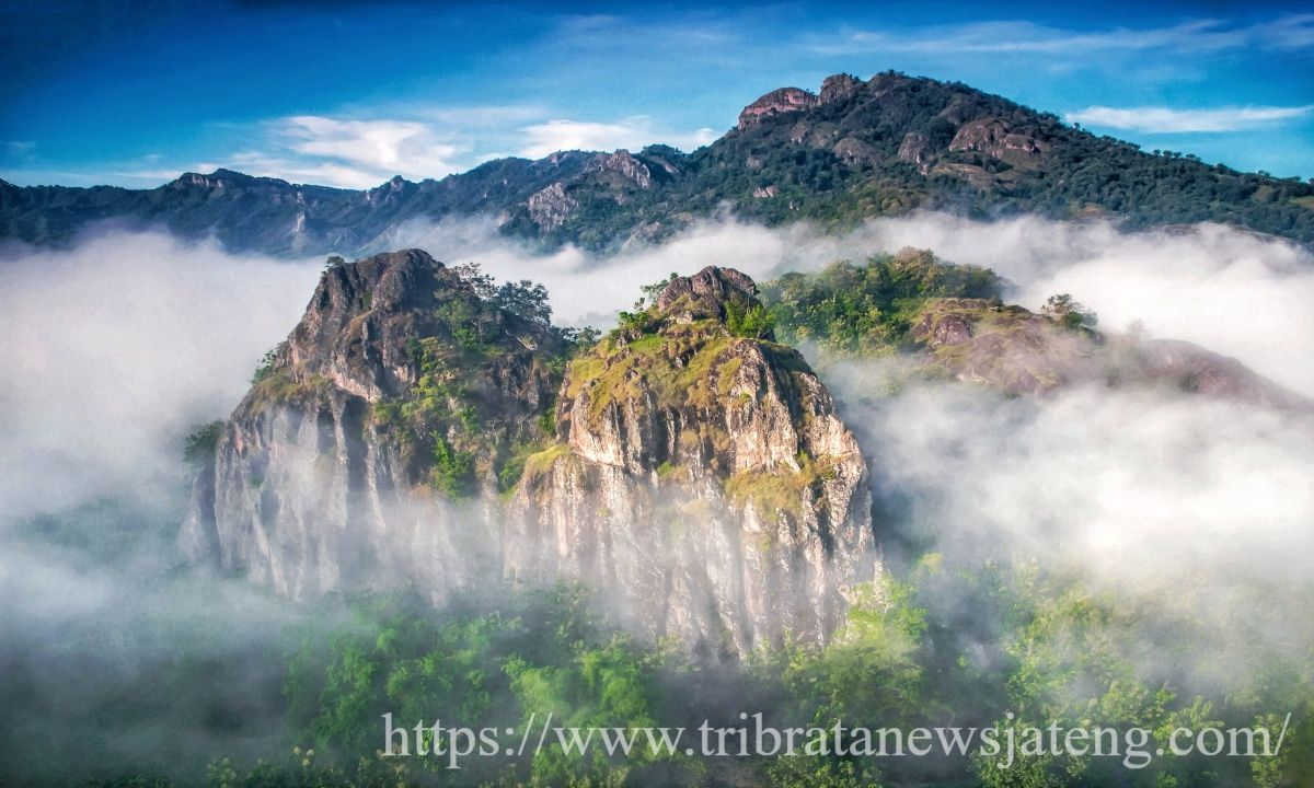 https://www.tribratanewsjateng.com/